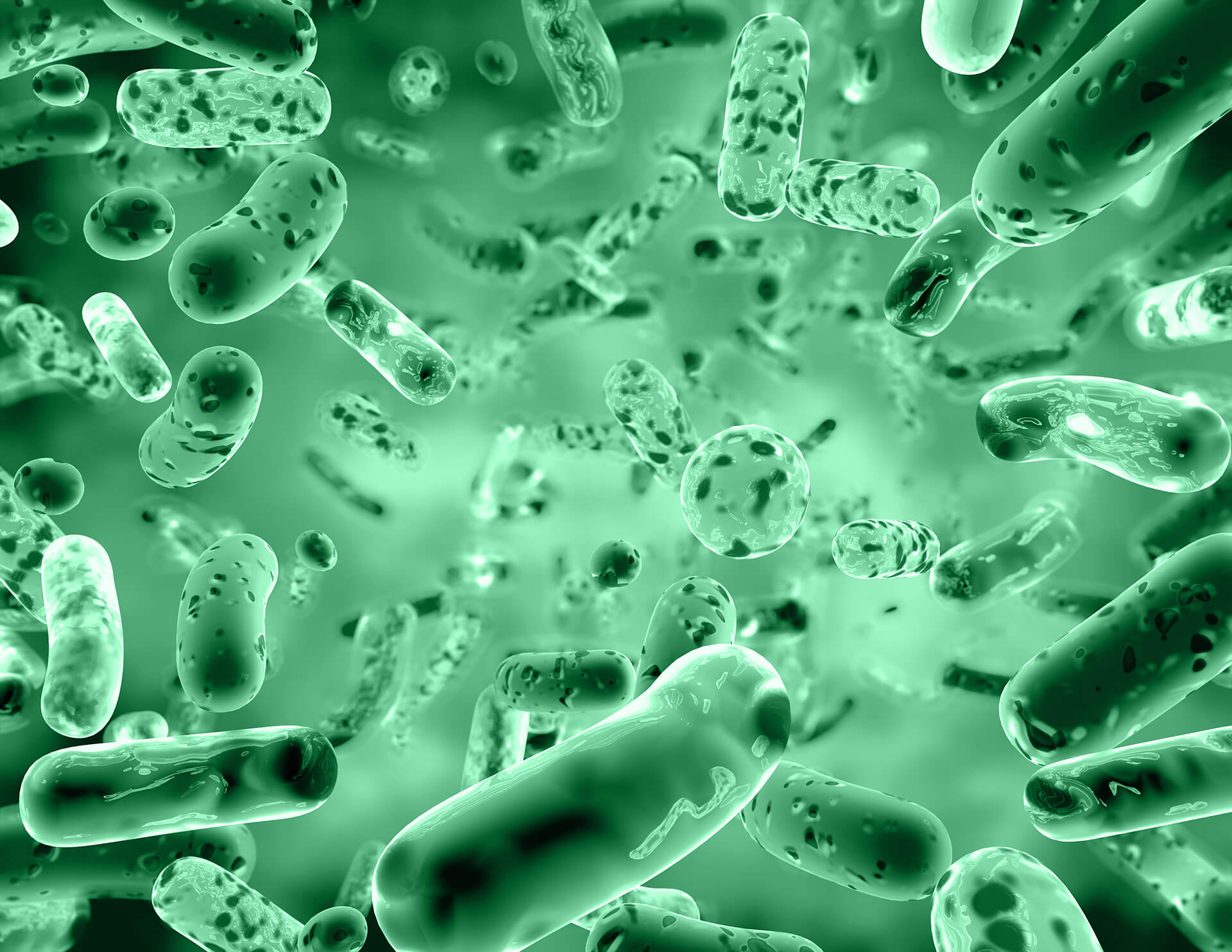 wastewater bacteria